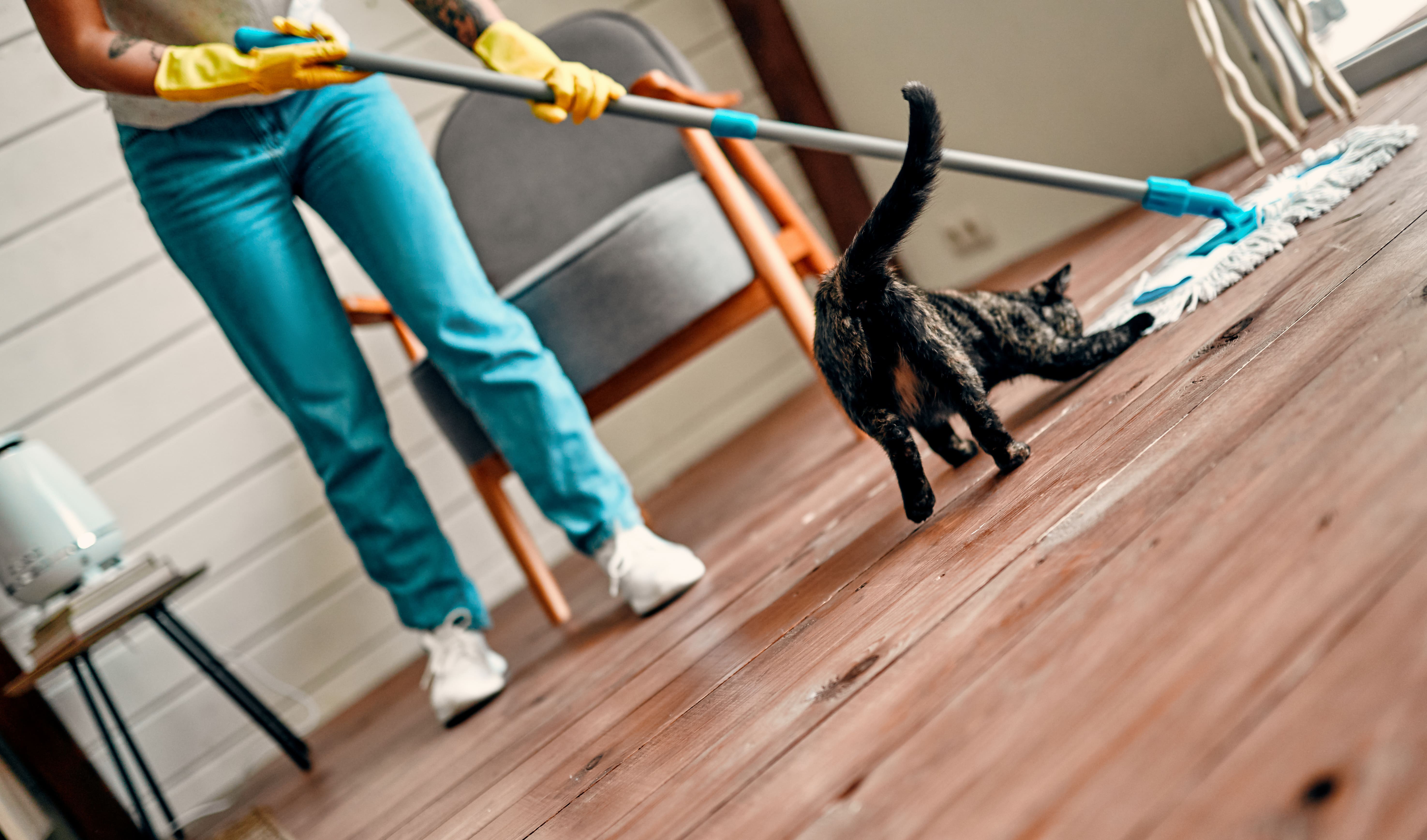 a person sweeping the floor while a black cat plays around her legs